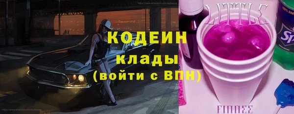 прущие грибы Нея