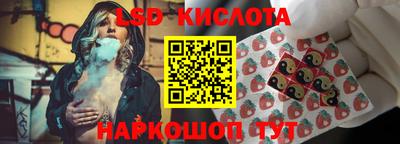 винт Камышлов