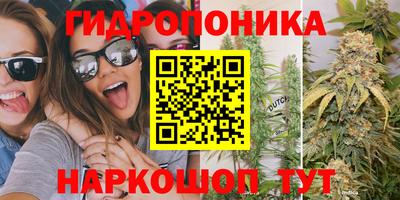 винт Камышлов