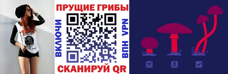Галлюциногенные грибы GOLDEN TEACHER  Тейково 